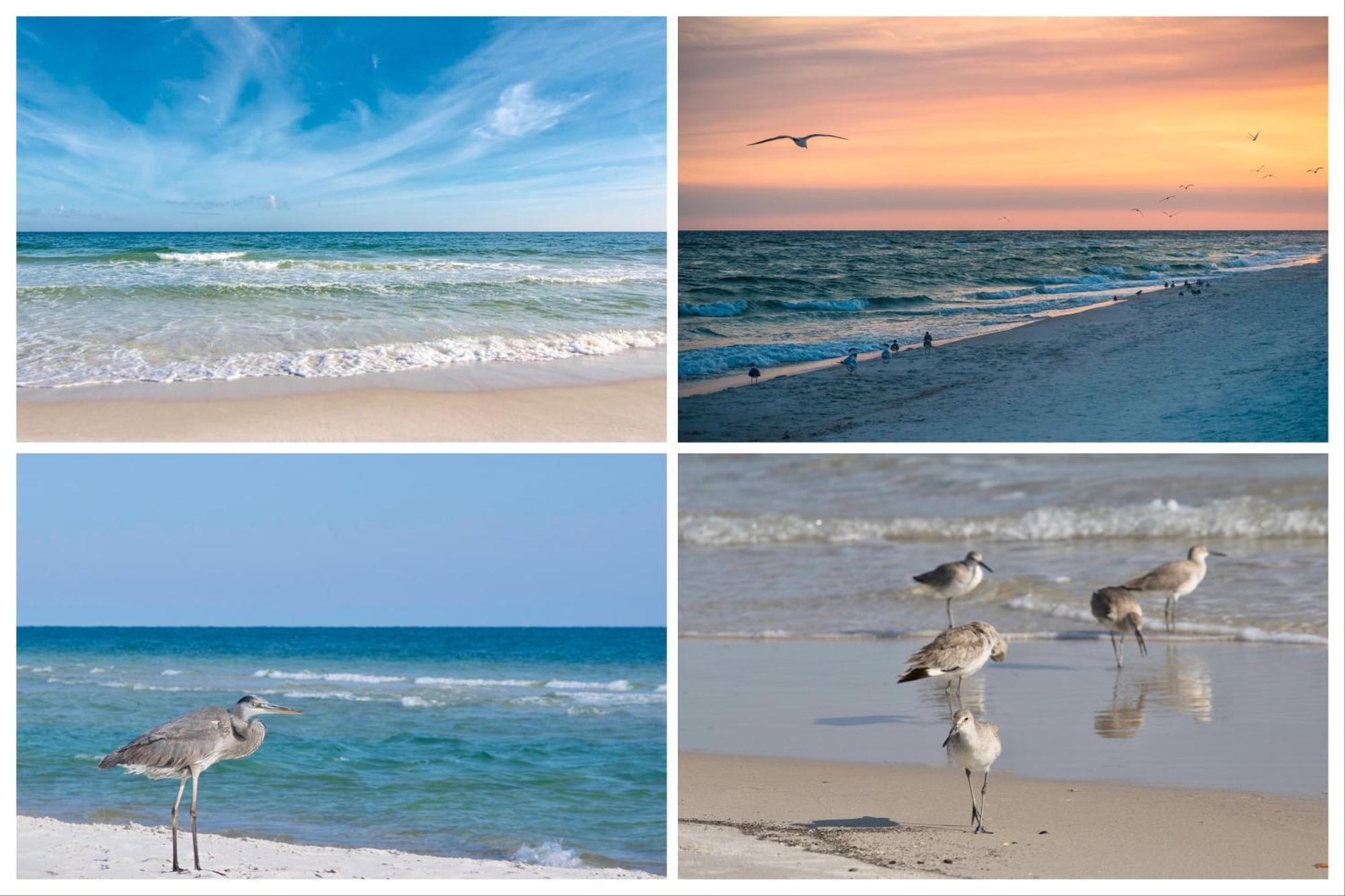 Villa Island Winds East Unit 401 à Gulf Shores Chambre photo